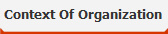 Context Of Organization